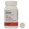 trusted-rx-pharmacy-Lincocin trusted-rx-pharmacy-Lincocin